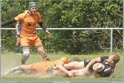 150620M2_211_7d96325